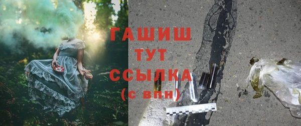 гидра Володарск