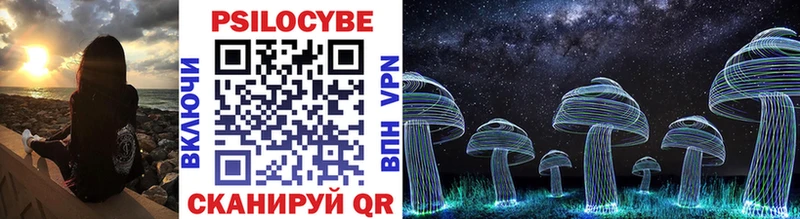 МЕГА как войти Горбатов Галлюциногенные грибы MAGIC MUSHROOMS